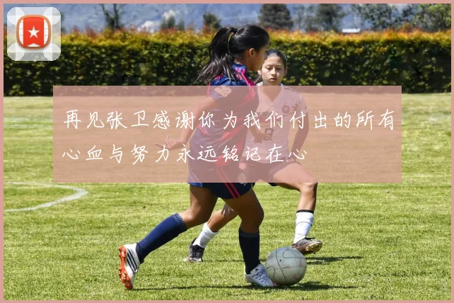 再见张卫感谢你为我们付出的所有心血与努力永远铭记在心